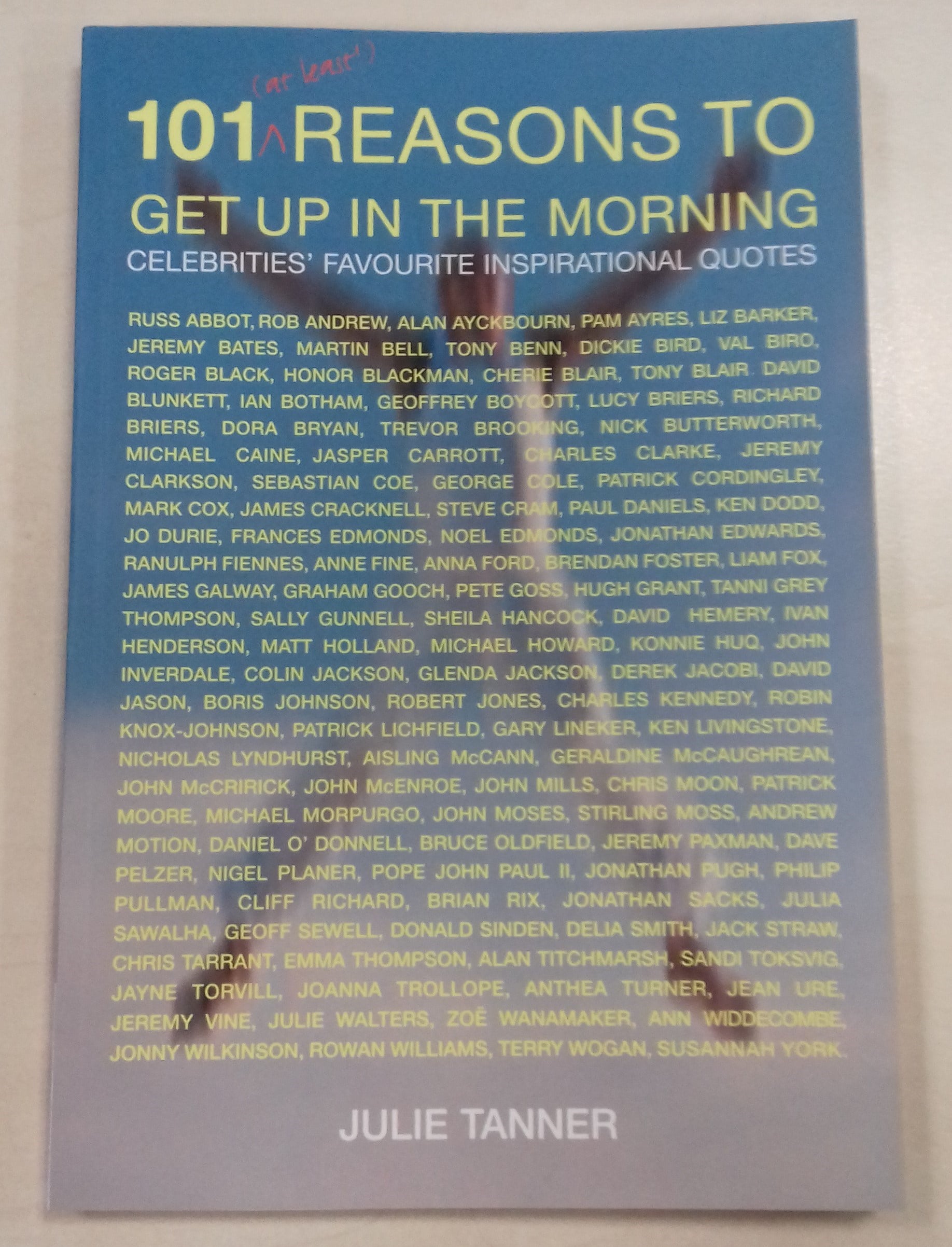 "101 Reasons to Get Up in the Morning" by Julie Tanner