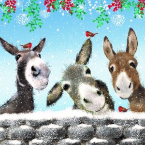 Three Wise Donkeys