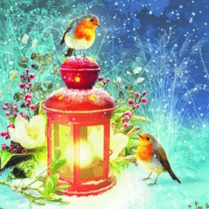 Robins by Candlelight