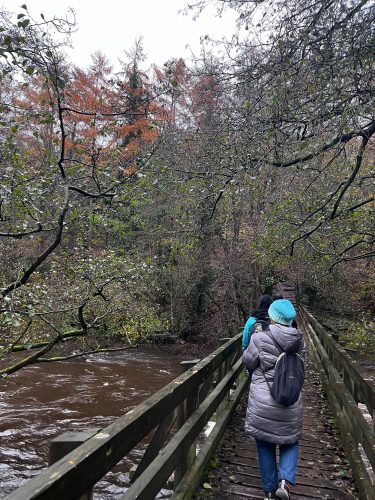 2BAD2A47-6DA6-41D7-A117-6A48C1E70F1C