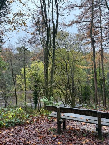 58d3d84b-5384-4fe6-af25-beb6d6c9a221