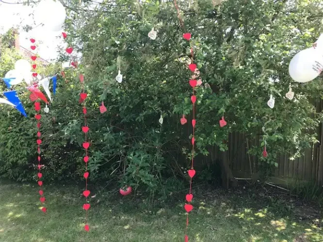 BBQ 16