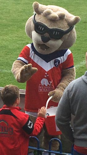 Wakefield Trinity Wildcats mascot