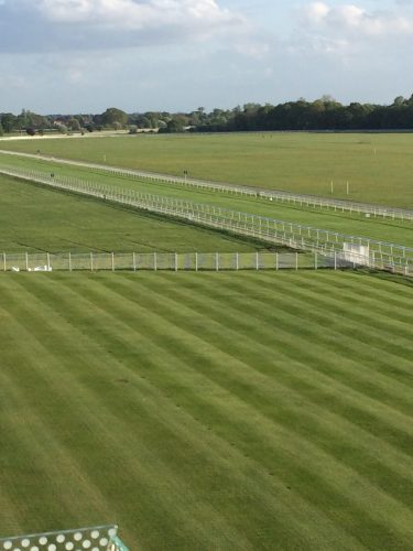 A view across York Racecourse (the venue) from the balcony